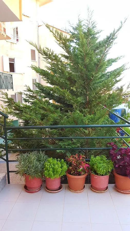 Hotel Villa Zeneli Sarandë 0*,  Albania